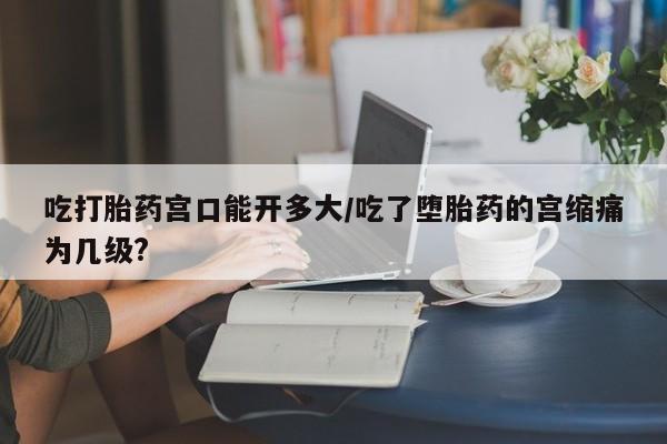 打胎药/堕胎药/流产药私人联系微信吃打胎药宫口能开多大/吃了堕胎药的宫缩痛为几级?