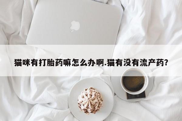 打胎药/堕胎药/流产药私人联系微信猫咪有打胎药嘛怎么办啊.猫有没有流产药？