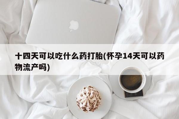 打胎药/堕胎药/流产药私人联系微信十四天可以吃什么药打胎(怀孕14天可以药物流产吗)